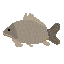 Carp - Pixel Art